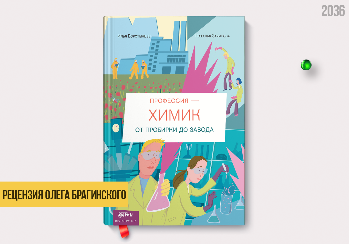 Рецензия на книгу «Профессия - химик»
